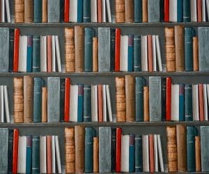 Canva Books on Bookshelves 300x250